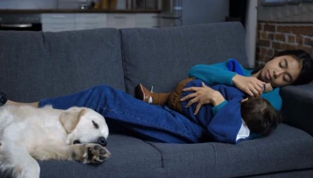 Pitbull Bebeğe Öyle Bir Şey Yaptı Ki, Sebebini Anlayınca Bebeğin Annesi Şok Oldu