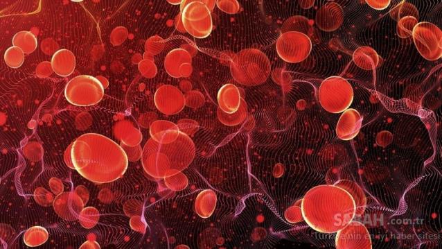 B12 vitamin ihtiyacını tek başına karşılayan süper gıda!