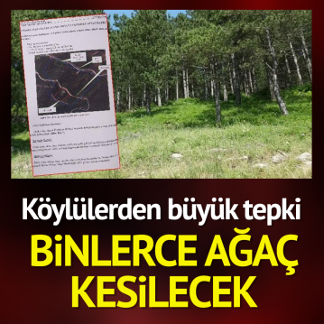 Köylülerden büyük tepki…. Binlerce ağaç kesilecek