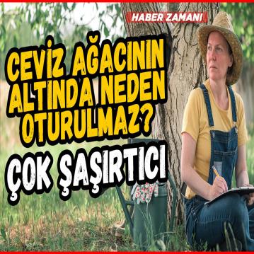 Ceviz ağacının altında neden oturulmaz? Ceviz ağacı gölgesi zararlı mı?