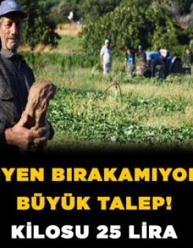 Kilosu 25 Lira