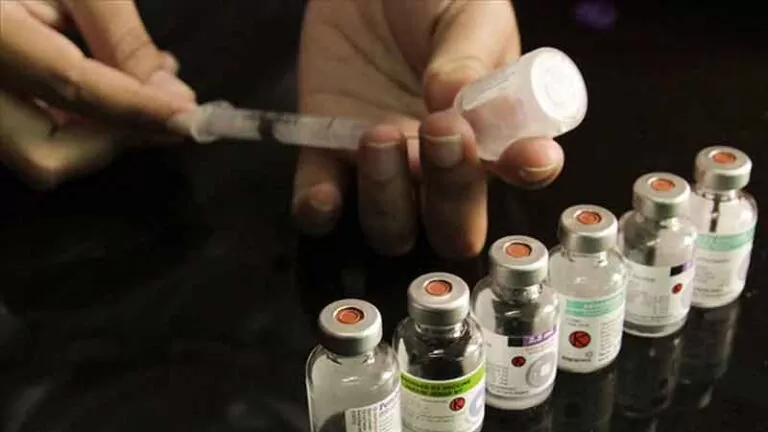 Sal gın alarmı 453 kişi yaşamını kaybetti