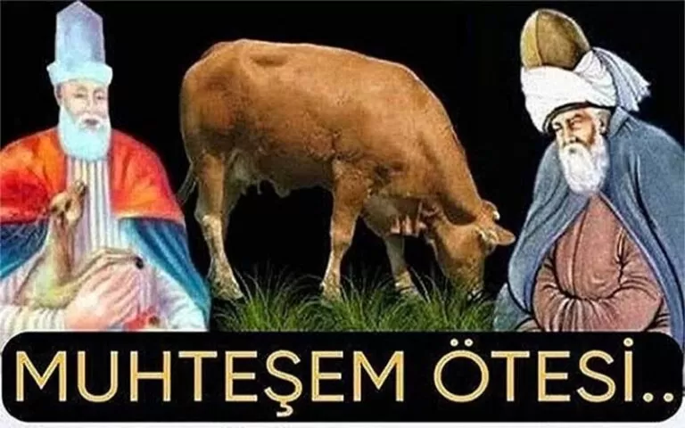 Mütevazilik tam da bu olsa gerek