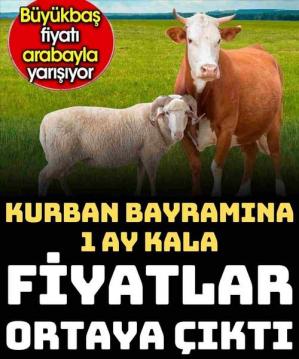 Rakamlar belli oldu