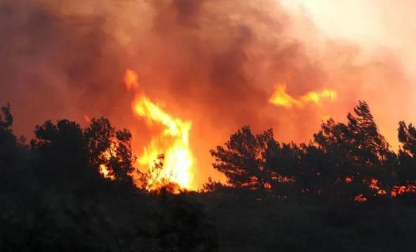 Manisa’da hareketli saatler yaşanıyor