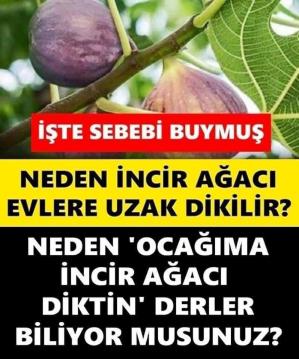 Aslında anlamı buymuş