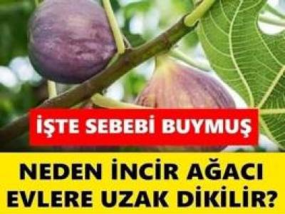 Aslında anlamı buymuş