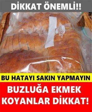 Buzluğa Ekmek Koyanlar