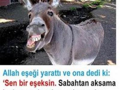 Allah eşeği yarattı ve ona dedi ki