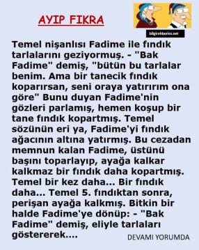 Bu fıkraya çok güldüm