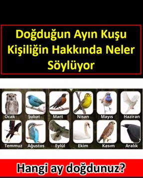 Doğduğunuz ayın kuşu karakteriniz hakkında neler söylüyor