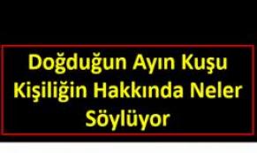 Doğduğunuz ayın kuşu karakteriniz hakkında neler söylüyor