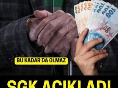 Emekli şimdi ne yapacak