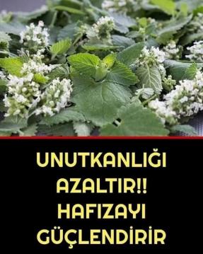 Günümüzde pek çok kişi unutkanlık sorunu