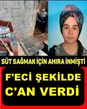 15 yaşındaki Nursel, süt sağmak için Ahıra girdi