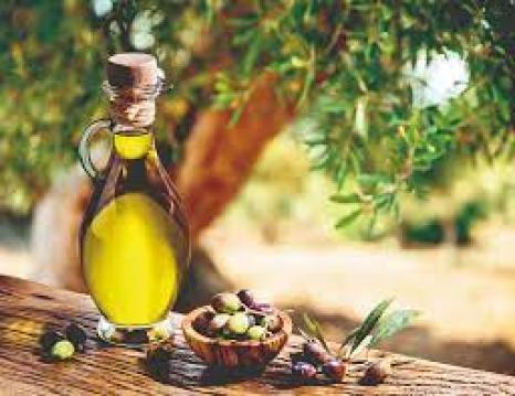 Canan Karatay Kanseri Ve Alzheimer Önleyici Besin