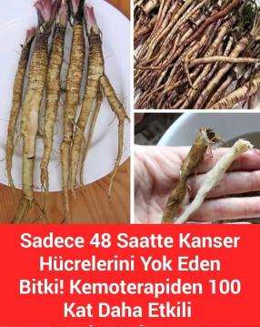 KEMOTERAPİDEN 100 KAT DAHA ETKİLİ