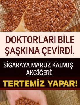 Ciğerleri tertemiz yapıyor Adeta akciğerin doktoru