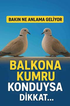 Balkona kumru konduysa