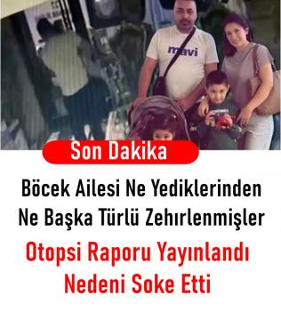 Böcek Ailesi Otopsi