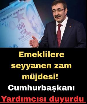 Cumhurbaşkanı Yardımcısı açıkladı