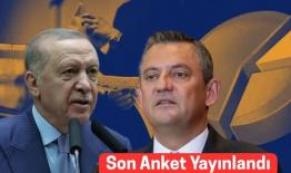 son anket sonuçları