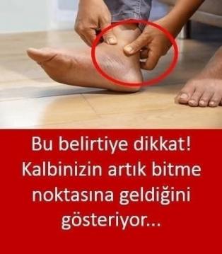 Kalbinizin ve damarlarınızın