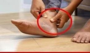 Kalbinizin ve damarlarınızın