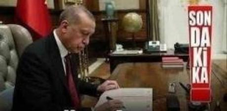Erdoğan karar verdi