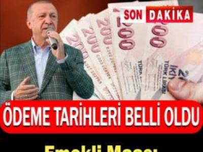 Emekli maaşı farklarının yatırılacağı tarih belli oldu..