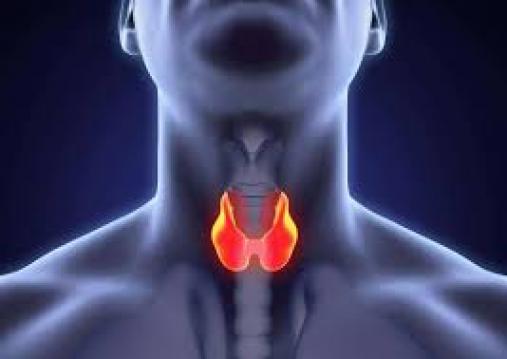 6 belirtisi ise duyuruldu