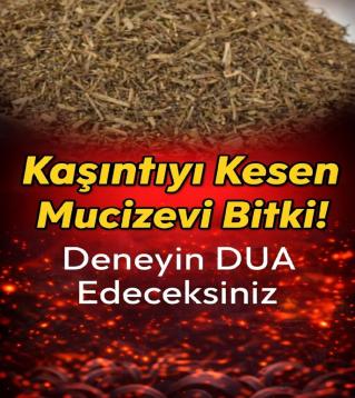 Kaşıntıyı Kesen Mucizevi Bitki!