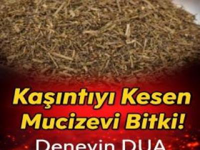 Kaşıntıyı Kesen Mucizevi Bitki!