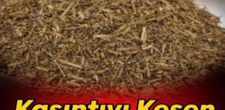 Kaşıntıyı Kesen Mucizevi Bitki!