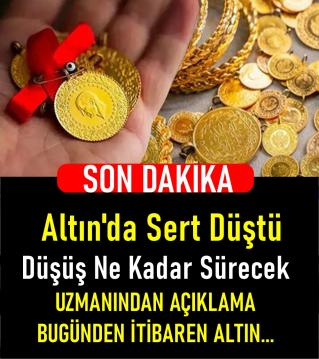 Altın ve Gümüş son durum