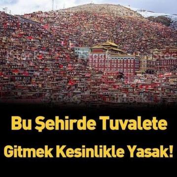 burada tuvalet yasak