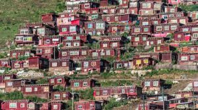 burada tuvalet yasak