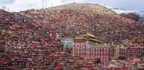 burada tuvalet yasak