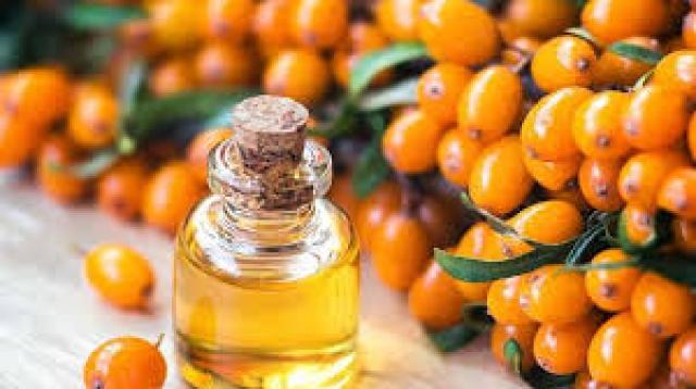  Prof. Dr. Mehmet Öz’ün