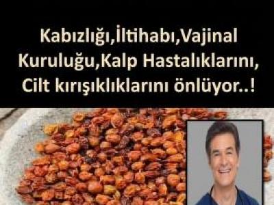  Prof. Dr. Mehmet Öz’ün