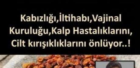  Prof. Dr. Mehmet Öz’ün