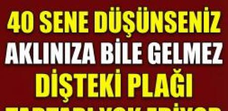 Diş Hekimlerinin bilmenizi istemediği