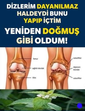 Erkan Topuz diz ve mafsal ağrılarına iyi