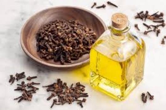 Karanfilin Doğal Gücü