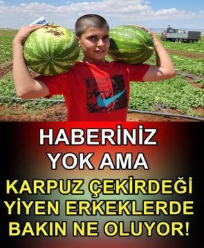 Karpuz Çekirdeğinde Bulunan