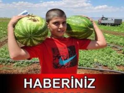 Karpuz Çekirdeğinde Bulunan