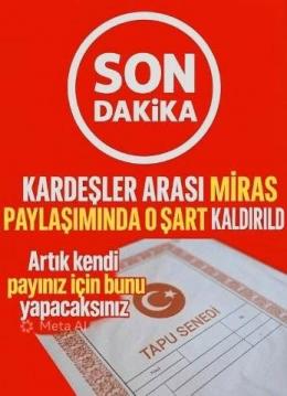 KARDEŞLER ARASI