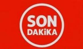 KARDEŞLER ARASI