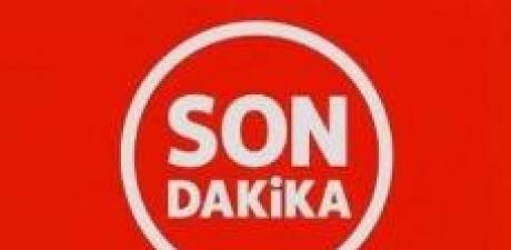 KARDEŞLER ARASI