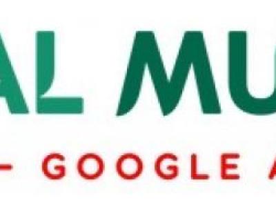 Google AdWords Uzmanı